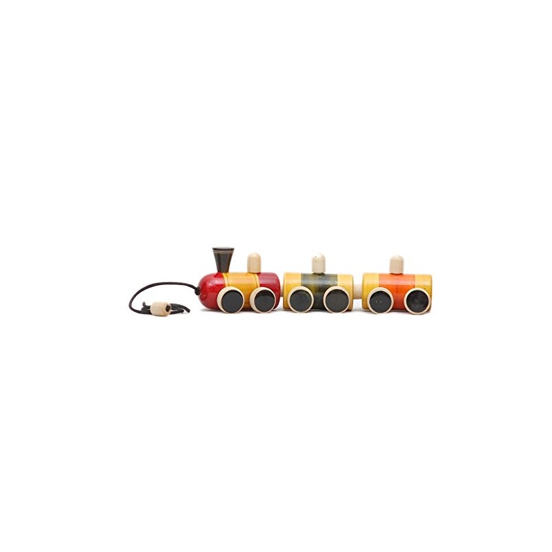 Funwood Games Super Train Pull Along Toy for Kids