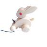 Pull Along Bunny Rabbit Wooden Toy for Kids