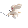 Pull Along Bunny Rabbit Wooden Toy for Kids